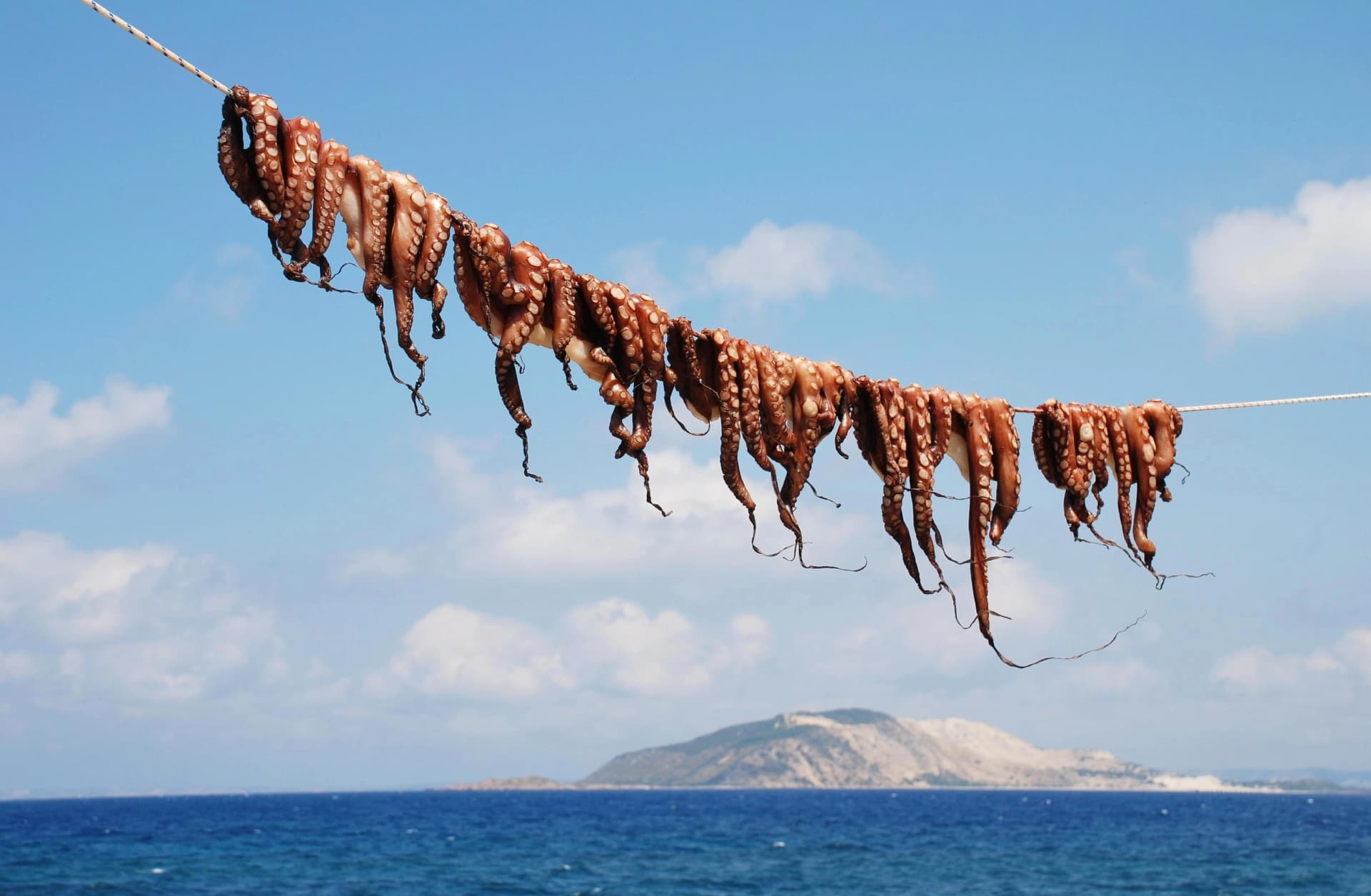 Octopuses hanging on a line at Mandraki on the Greek island of Nisyros.